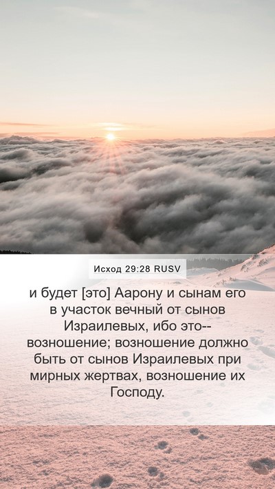 Исход 29:28 RUSV Bible Verse Image