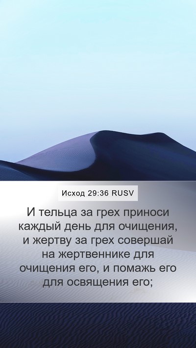 Исход 29:36 RUSV Mobile Phone Wallpaper - И тельца за грех приноси - Mobile Bible Verse Wallpaper