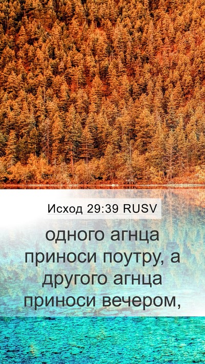 Исход 29:39 RUSV Bible Verse Image