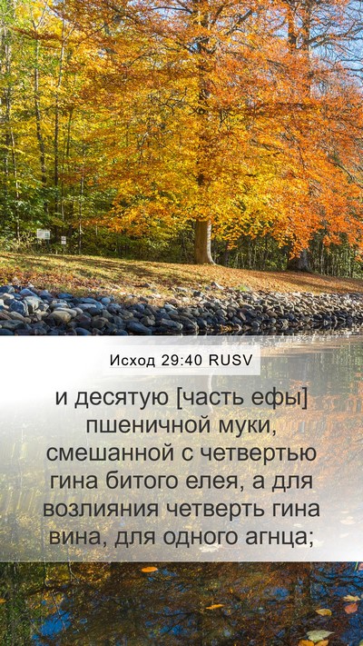 Исход 29:40 RUSV Bible Verse Image