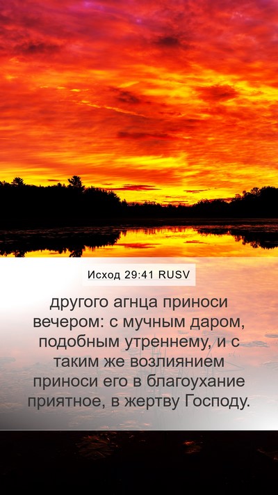Исход 29:41 RUSV Bible Verse Image