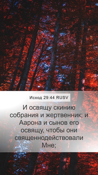 Исход 29:44 RUSV Bible Verse Image