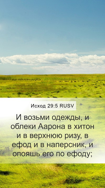 Исход 29:5 RUSV Bible Verse Image
