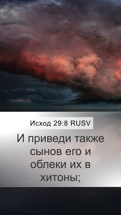 Исход 29:8 RUSV Bible Verse Image