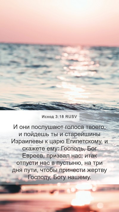 Исход 3:18 RUSV Bible Verse Image