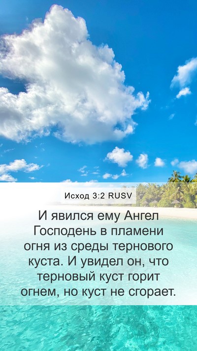 Исход 3:2 RUSV Bible Verse Image
