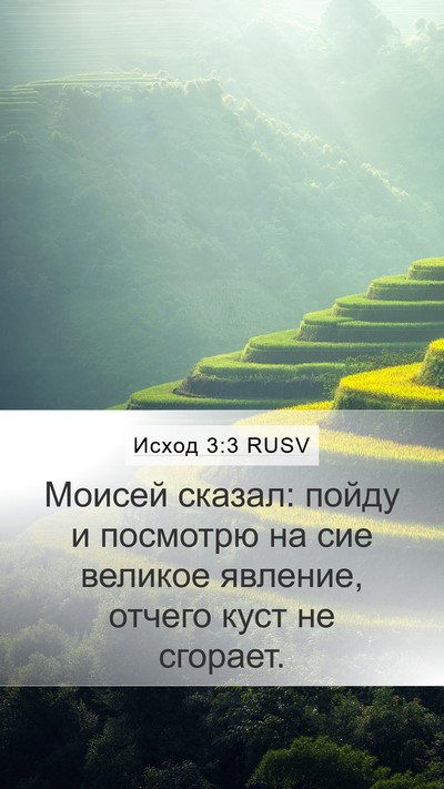 Исход 3:3 RUSV Mobile Phone Wallpaper - Моисей сказал: пойду и - Mobile Bible Verse Wallpaper