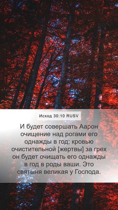 Исход 30:10 RUSV Bible Verse Image