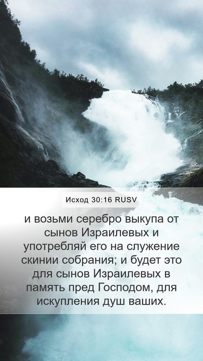 Исход 30:16 RUSV Bible Verse Image