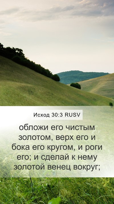 Исход 30:3 RUSV Bible Verse Image