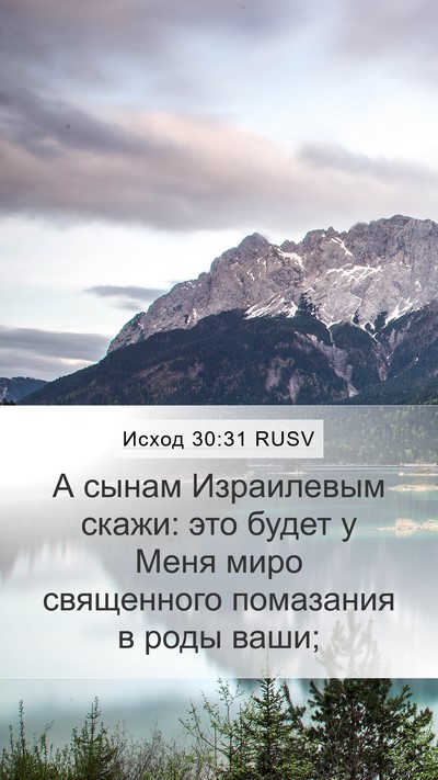 Исход 30:31 RUSV Bible Verse Image