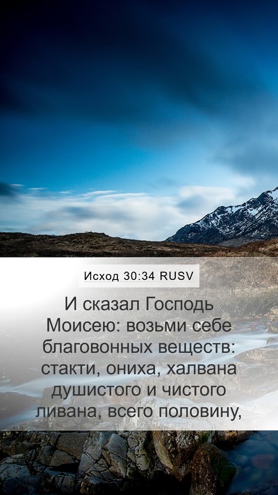 Исход 30:34 RUSV Bible Verse Image