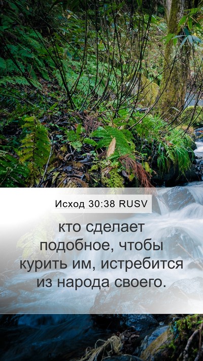 Исход 30:38 RUSV Mobile Phone Wallpaper - кто сделает подобное, - Mobile Bible Verse Wallpaper