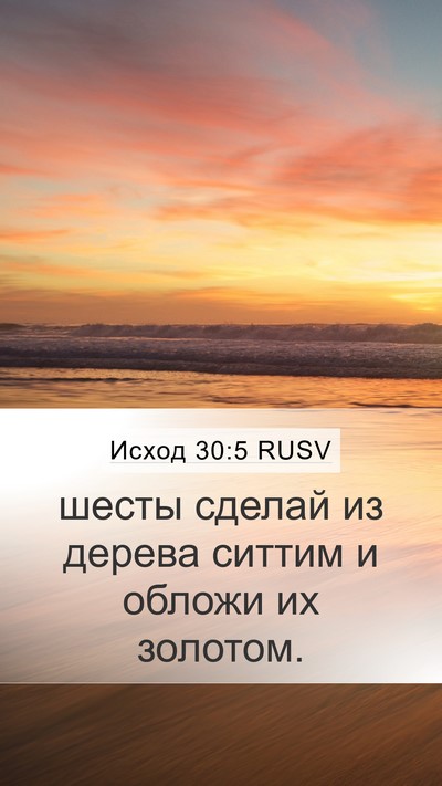 Исход 30:5 RUSV Bible Verse Image