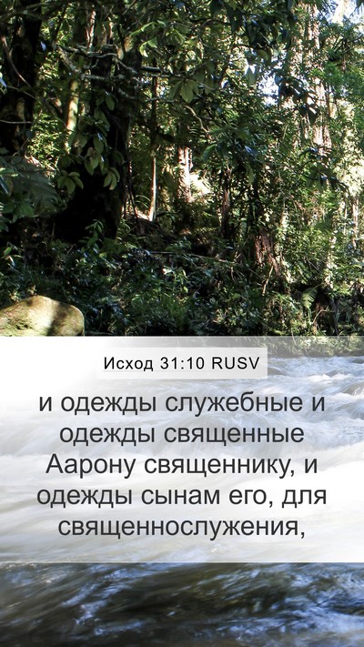Исход 31:10 RUSV Bible Verse Image
