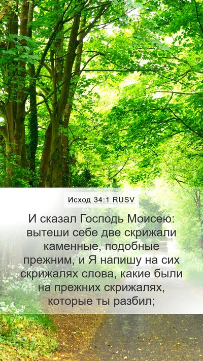 Исход 34:1 RUSV Bible Verse Image
