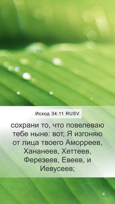Исход 34:11 RUSV Bible Verse Image