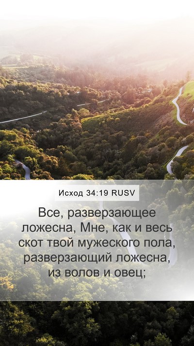 Исход 34:19 RUSV Bible Verse Image