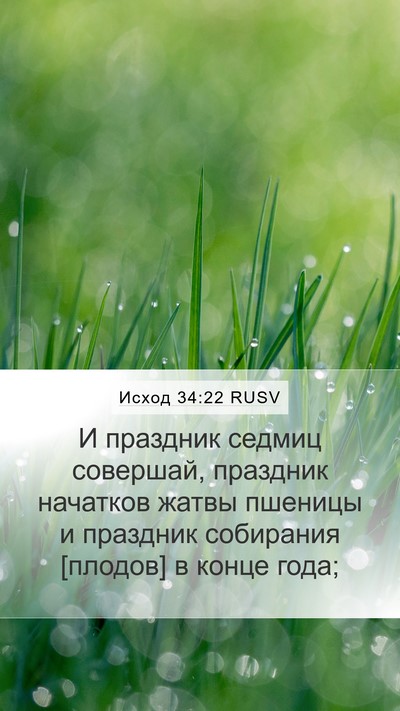 Исход 34:22 RUSV Bible Verse Image