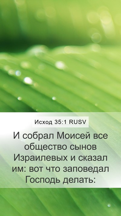 Исход 35:1 RUSV Bible Verse Image