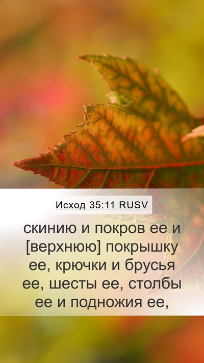 Исход 35:11 RUSV Bible Verse Image