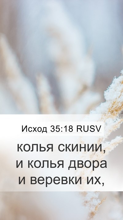 Исход 35:18 RUSV Mobile Phone Wallpaper - колья скинии, и колья двора - Mobile Bible Verse Wallpaper