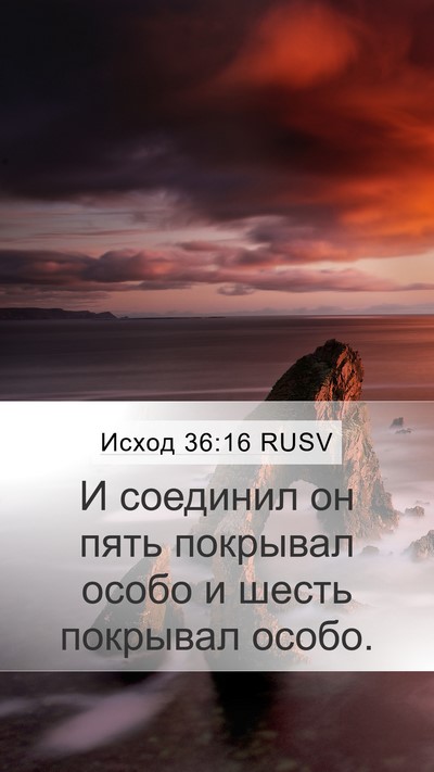 Исход 36:16 RUSV Mobile Phone Wallpaper - И соединил он пять - Mobile Bible Verse Wallpaper