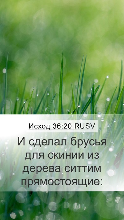 Исход 36:20 RUSV Bible Verse Image