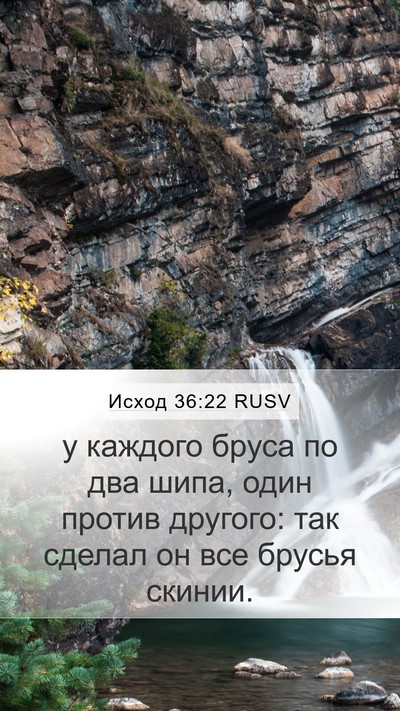 Исход 36:22 RUSV Bible Verse Image