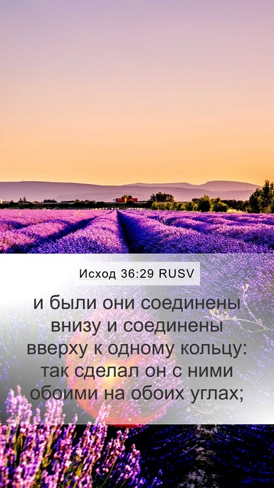 Исход 36:29 RUSV Bible Verse Image