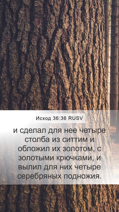 Исход 36:36 RUSV Bible Verse Image