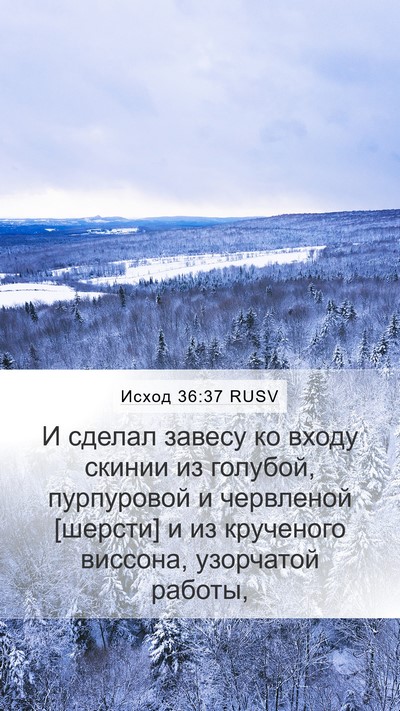 Исход 36:37 RUSV Mobile Phone Wallpaper - И сделал завесу ко входу - Mobile Bible Verse Wallpaper