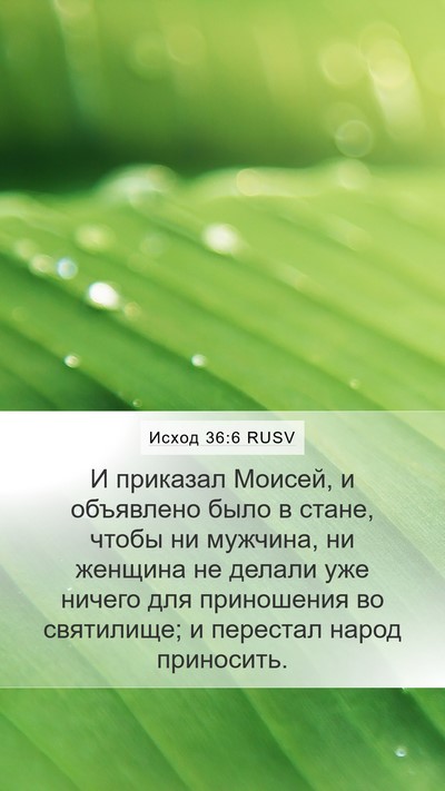 Исход 36:6 RUSV Mobile Phone Wallpaper - И приказал Моисей, и - Mobile Bible Verse Wallpaper