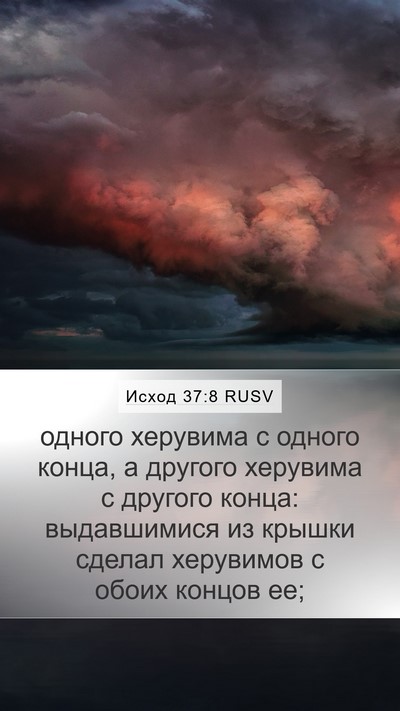 Исход 37:8 RUSV Mobile Phone Wallpaper - одного херувима с одного - Mobile Bible Verse Wallpaper