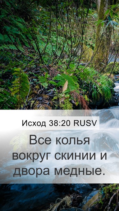 Исход 38:20 RUSV Mobile Phone Wallpaper - Все колья вокруг скинии и - Mobile Bible Verse Wallpaper