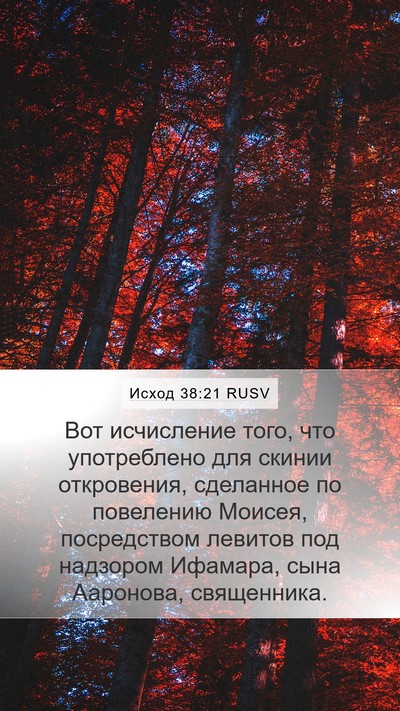 Исход 38:21 RUSV Bible Verse Image