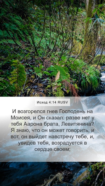Исход 4:14 RUSV Bible Verse Image
