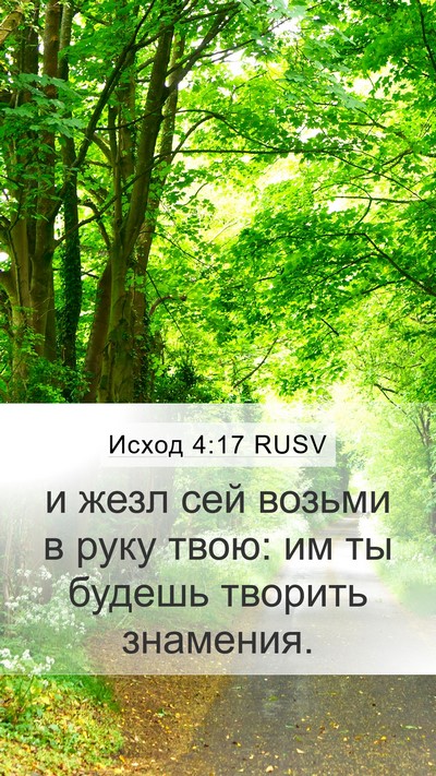 Исход 4:17 RUSV Bible Verse Image