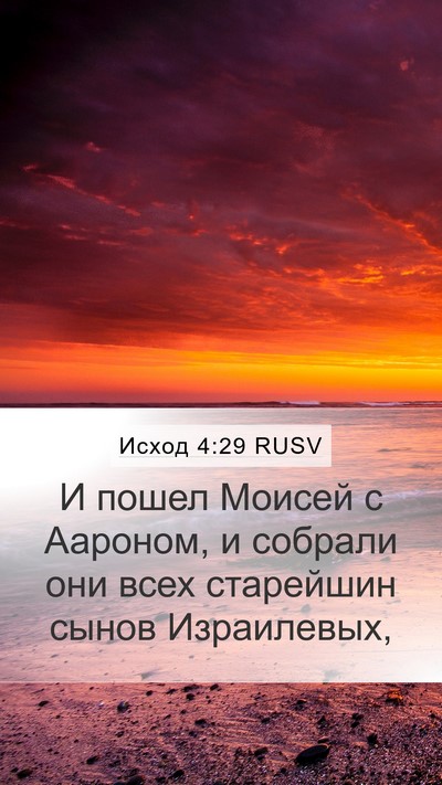 Исход 4:29 RUSV Bible Verse Image