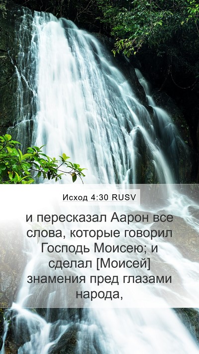 Исход 4:30 RUSV Bible Verse Image