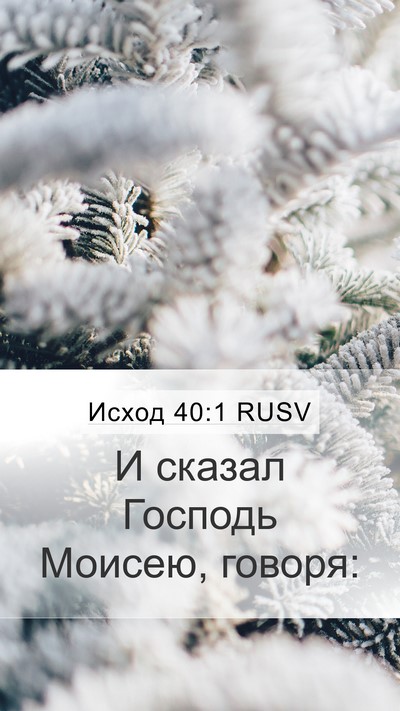 Исход 40:1 RUSV Mobile Phone Wallpaper - И сказал Господь Моисею, - Mobile Bible Verse Wallpaper