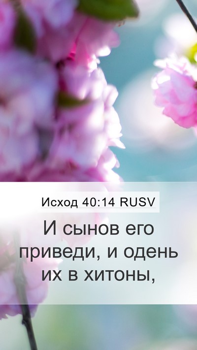 Исход 40:14 RUSV Bible Verse Image