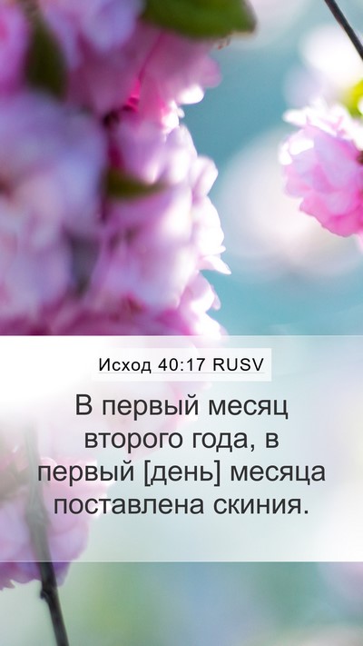 Исход 40:17 RUSV Bible Verse Image