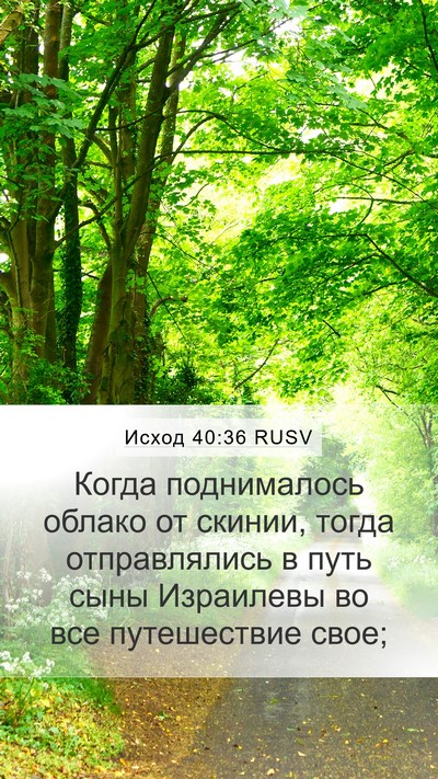 Исход 40:36 RUSV Bible Verse Image