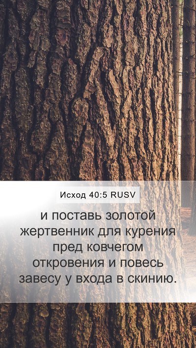 Исход 40:5 RUSV Bible Verse Image