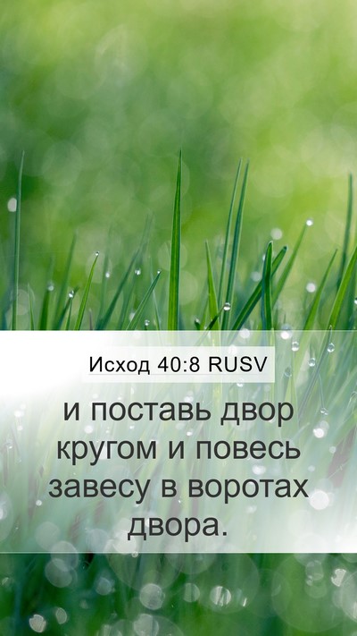 Исход 40:8 RUSV Mobile Phone Wallpaper - и поставь двор кругом и - Mobile Bible Verse Wallpaper