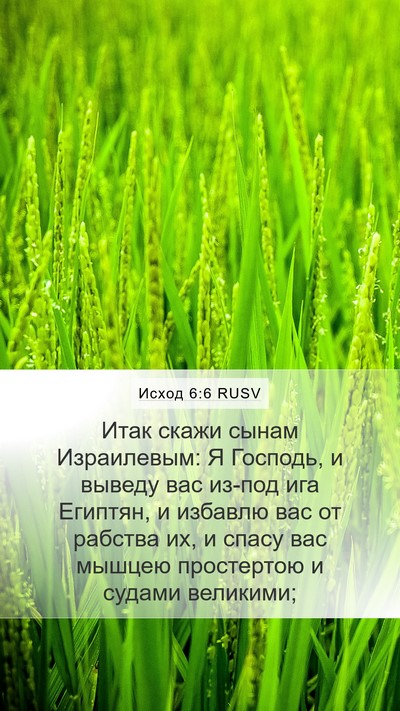 Исход 6:6 RUSV Bible Verse Image