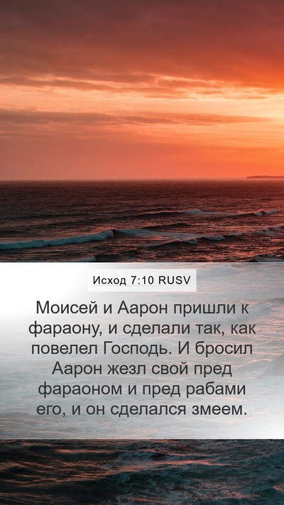 Исход 7:10 RUSV Bible Verse Image