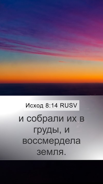 Исход 8:14 RUSV Mobile Phone Wallpaper - и собрали их в груды, и - Mobile Bible Verse Wallpaper