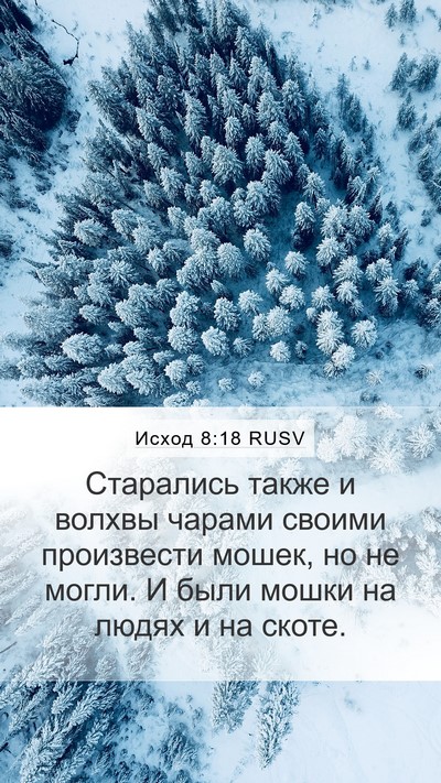 Исход 8:18 RUSV Bible Verse Image